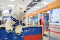 ������ �������� ���������� ����������� ����������� ���� 